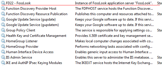 FossLook Server Service