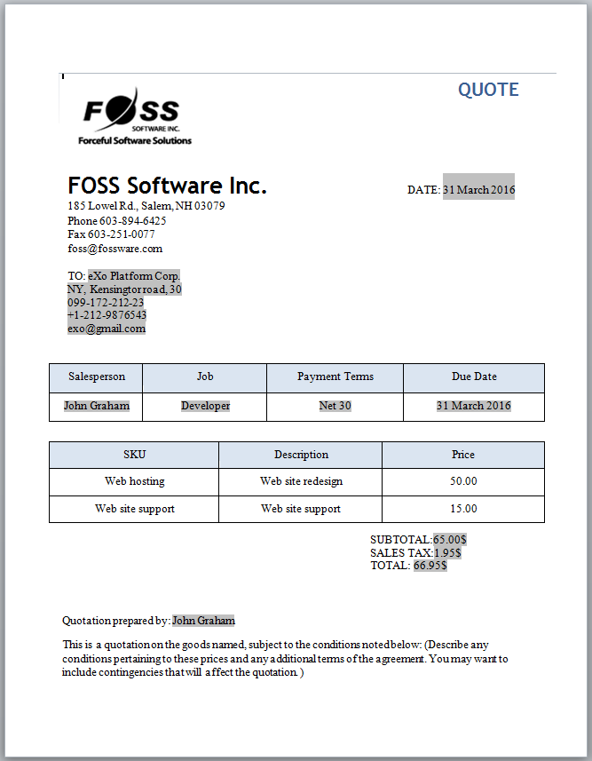 Software Development Invoice Template